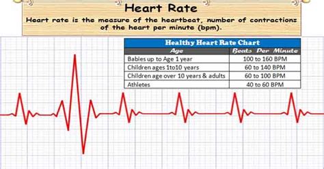 Bpm And Ecg Understanding The Basics Of Heart Health 46 Off