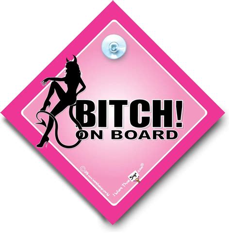 Amazon Com Funny Signs Iwantthatsign Com Bitch On Board Car Sign Pink