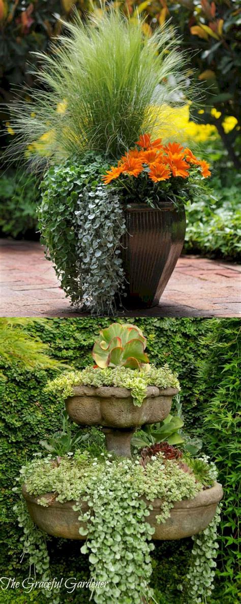 Make Your Home Beautiful With Stunning Container Garden Ideas 25