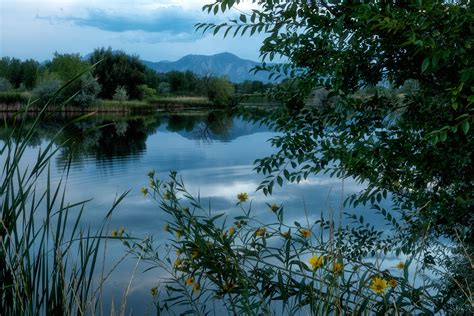 Sawhill Summer Evening Sawhill Ponds Boulder Colorado 2015 The