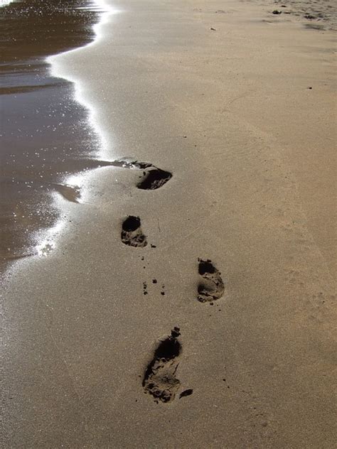 Beach Footprints Pictures Photos And Images For Facebook Tumblr