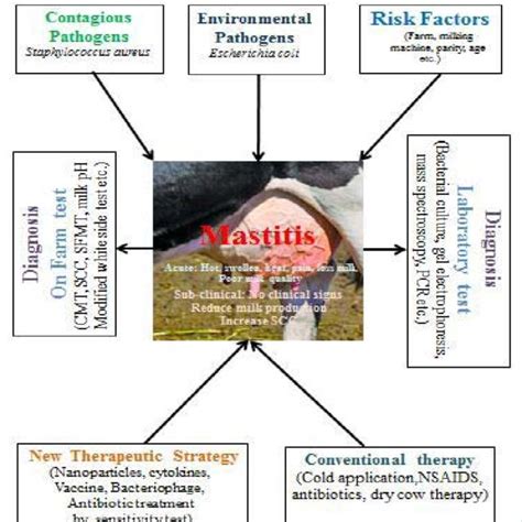 Graphical Abstract Of Bovine Mastitis Schematic Presentation Of Causes