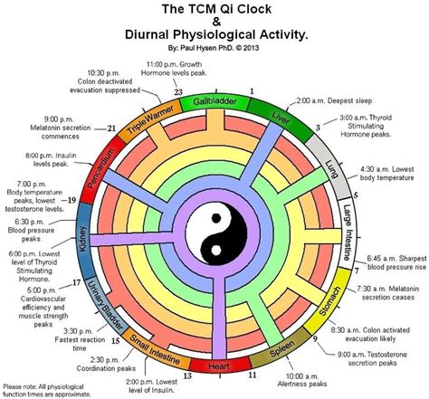 What Is Qi Definition Of Qi In Traditional Chinese Medicine