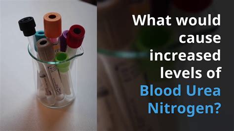 Blood Urea Nitrogen Bun Nursing Lab Values Youtube