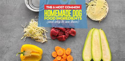 6 Most Common Homemade Dog Food Ingredients And Why Use Them