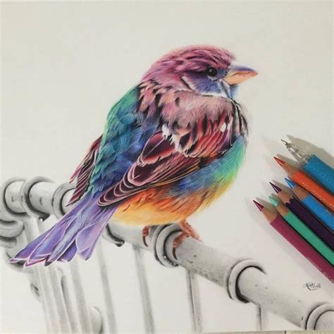 Aggregate More Than 154 Awesome Colored Pencil Drawings Super Hot