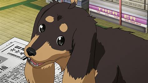 Top 50 Best Anime Dogs Most Popular Of All Time