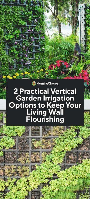 2 Vertical Garden Irrigation Options To Keep Your Living Wall