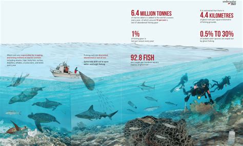 Impact Of Ocean Plastic On Marine Wildlife Tontoton