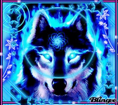 Wolf Picture Blingee Com
