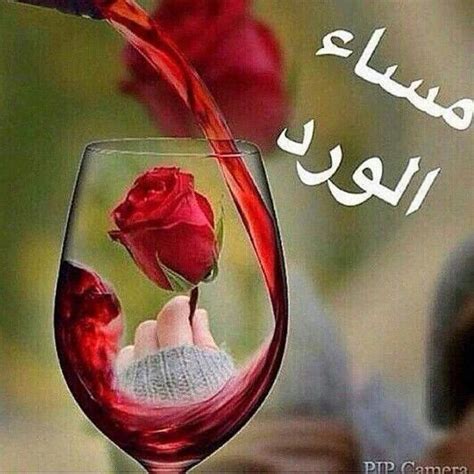 عندي لك وردتين، وردة تبوسك. مساء الورد والفل والياسمين | Flower quotes, Good evening ...