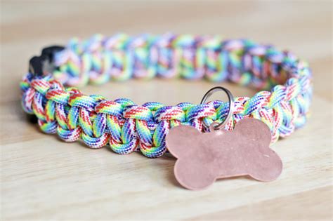 10 Easy Diy Dog Collars To Jazz Up Your Pups Summer
