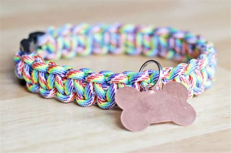 Remember not to point it at the throat directly, because the sensation will startle the feline. 10 Easy DIY Dog Collars To Jazz Up Your Pup's Summer ...