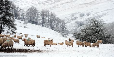 Uk Weather Britain Braced For First Cold Snap Of Year As Ice And Snow