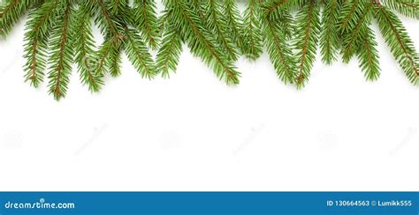 Frame Of Green Fir Tree Branches On White Background Stock Image