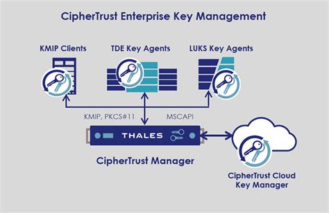 Ciphertrust Enterprise Key Management Thales Trusted Cyber Technologies