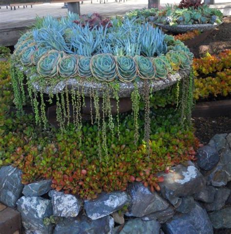 35 Succulent Gardening Ideas For Small Creative Container Designs