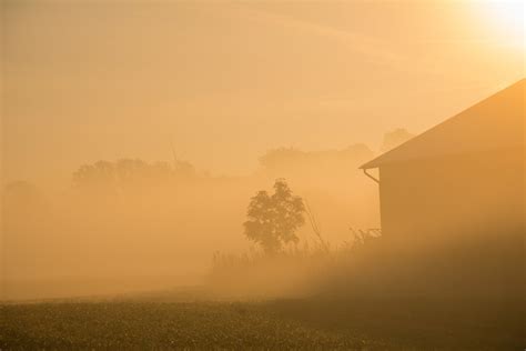 Misty Morning Susanne Nilsson Flickr