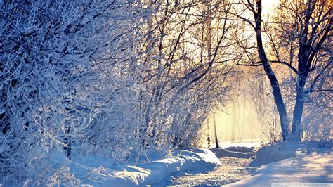 Download Winter Morning Light Wallpaper 1920x1080 Wallpoper 449637
