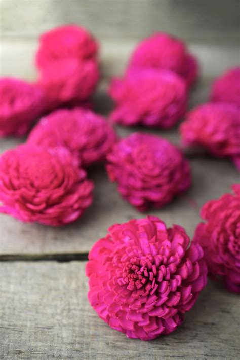 Sola Flowers Pink Chorki Flowers 12 Pack | Sola flowers, Sola wood flowers, Wood flowers