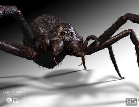 Giant Monster Spider Hd Daz 3d