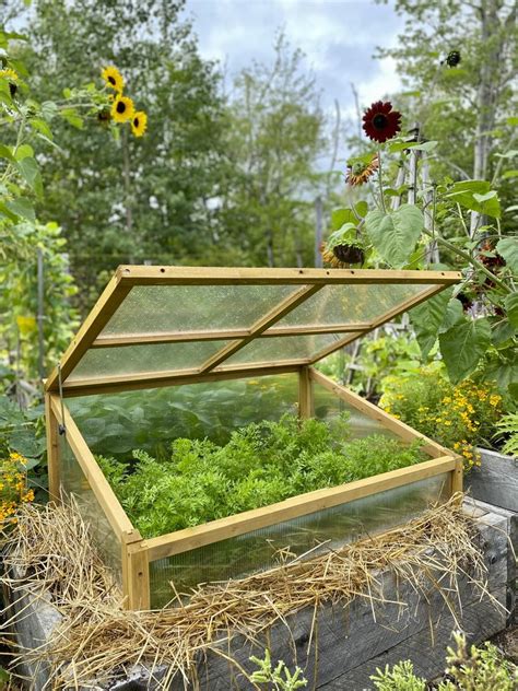 Cold Frame 101 With Niki Jabbour A Way To Garden
