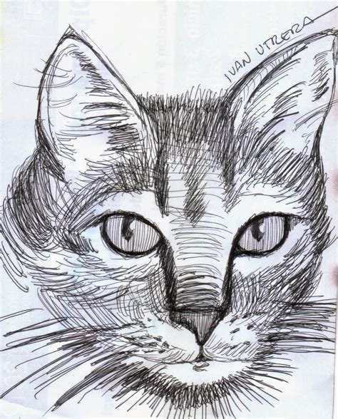 Álbumes 91 Foto Dibujo De Un Gato A Lapiz Alta Definición Completa 2k 4k