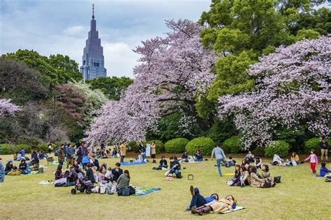 7 Reasons You Should Visit Tokyo This Summer The Early Airway