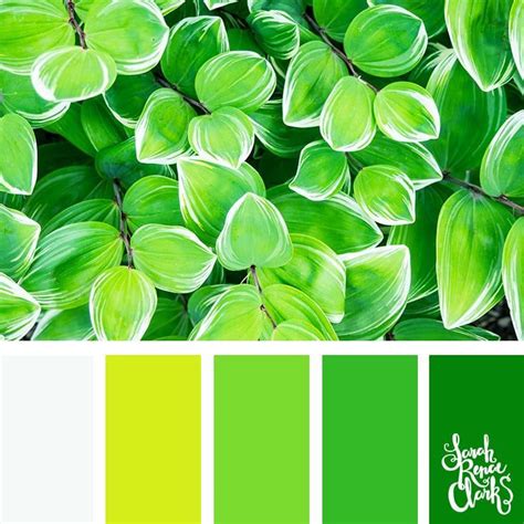 greenery 25 color palettes inspired by the pantone color trend predictions for spring 2018