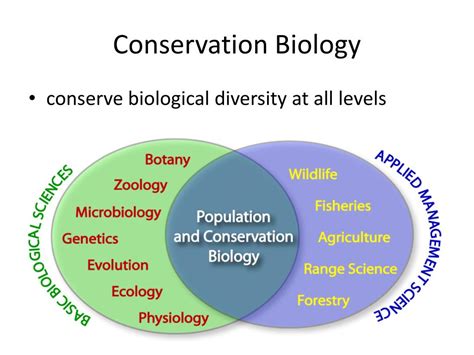Ppt Conservation Biology And Restoration Ecology Powerpoint