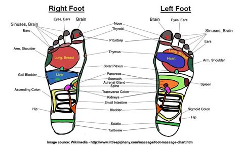 How To Do Reflexology At Home To Treat Common Ailments