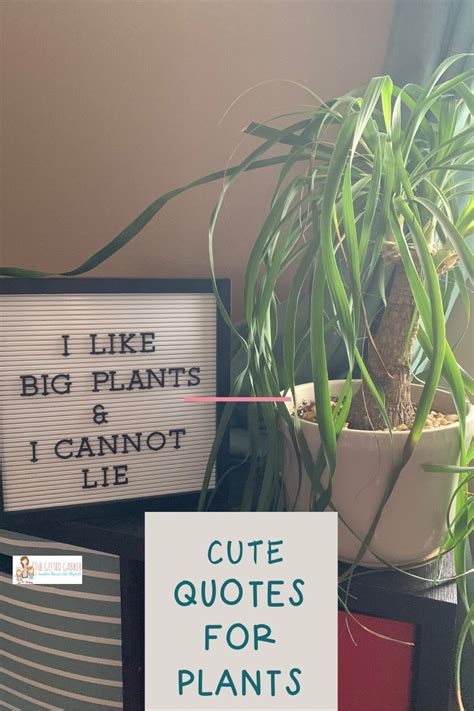 Funny Plant Quotes And Funny Garden Quotes For Letter Boards