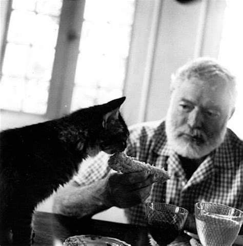 26 Interesting Vintage Photos Of Ernest Hemingway With His Beloved Cats ~ Vintage Everyday