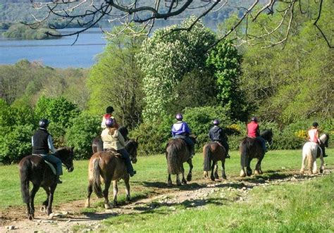 Horse Riding In Killarney National Park