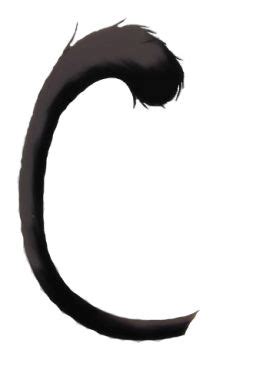 Cat Cattail Tail Freetoedit Cat Furry Fluffy Cat Tail Drawing Cat Tail