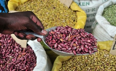 Africa Beans Galore As Dar Exports Feed 10 Countries