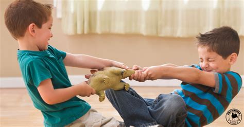 8 Tips To Resolve Sibling Rivalry Primrose Schools