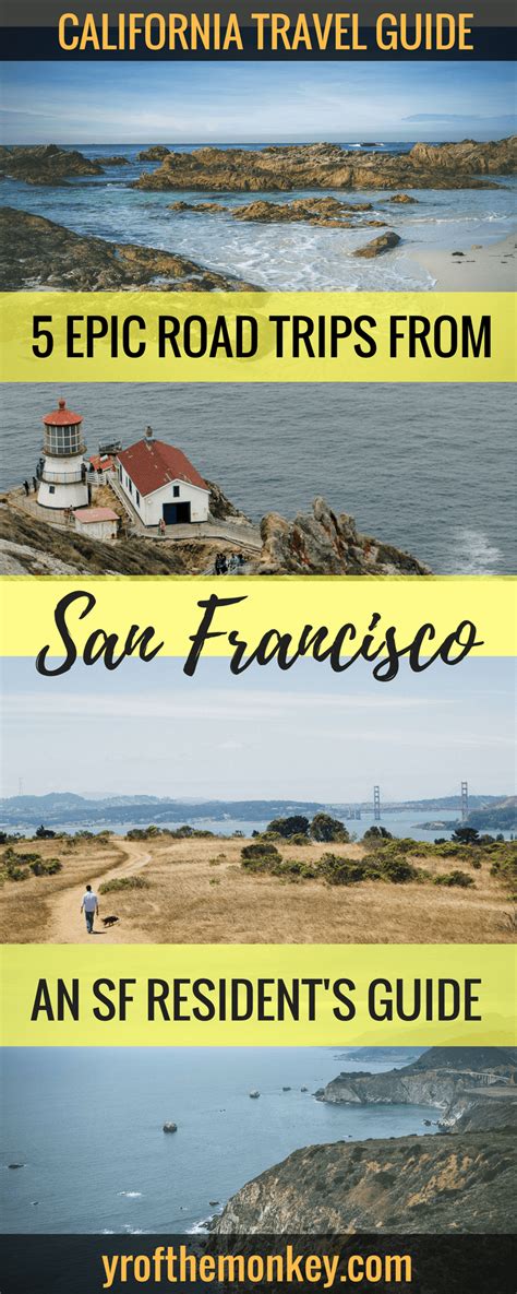 Bay Area Day Trips The Best Dog Friendly Weekend Trips By A Local
