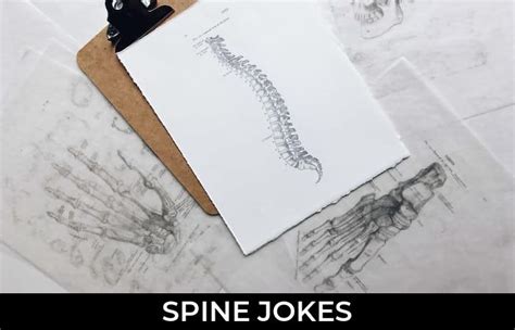 93 Spine Jokes And Funny Puns Jokojokes