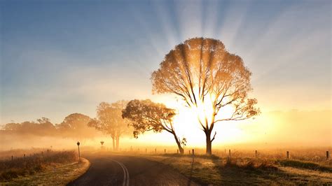 Morning Mist Sunrise Wallpaper 1600x900 31021