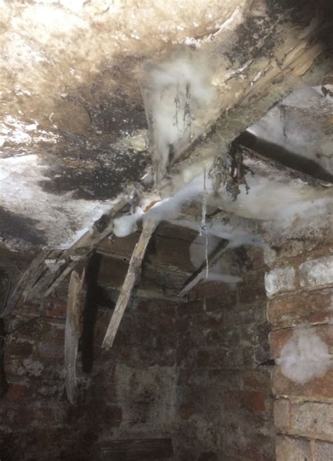 Dry Rot Surveys Damp And Timber Experts