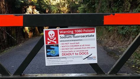 Nz First Vows To Stop 1080 Poison Drops If In Office Nz Herald