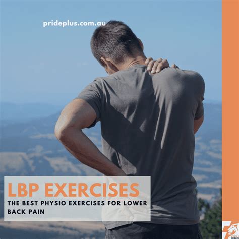 Best Physio Exercises For Lower Back Pain Prideplus