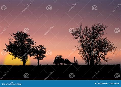 Sunset Or Sunrise Sky With Silhouette Of Tree Bush With Bare Branches