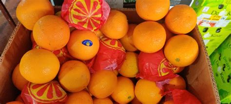A Grade Maharashtra Fresh Orange Packaging Size 20 Kg Packaging Type