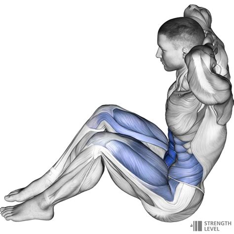 Sit Ups Standards For Men And Women Lb Strength Level