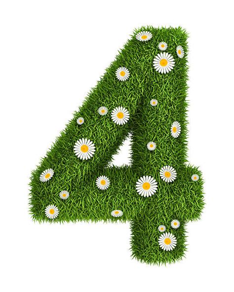 Grass Number Number 4 Three Dimensional Shape Stock Photos, Pictures ...