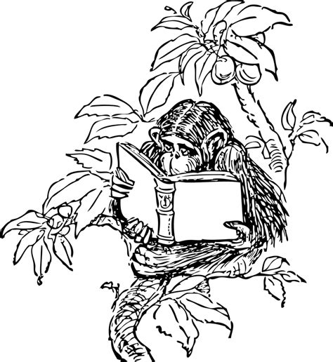 Public Domain Clip Art Image Monkey Reading Id 13539914413346