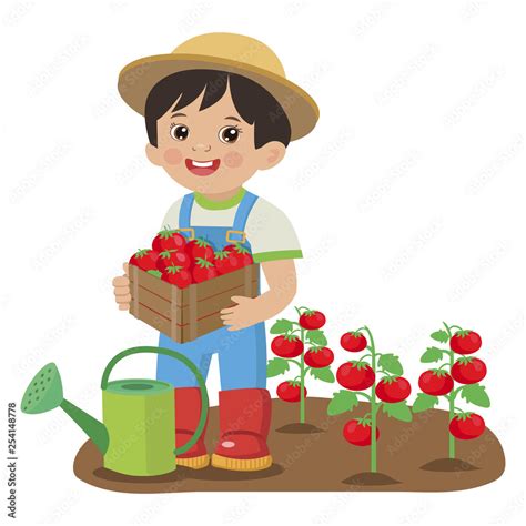 Cute Cartoon Boy With Harvest Tomato Young Farmer Working In The