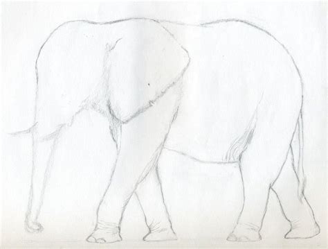 How To Draw An Elephant Elefant Leinwandmalerei Einfach Zeichnen